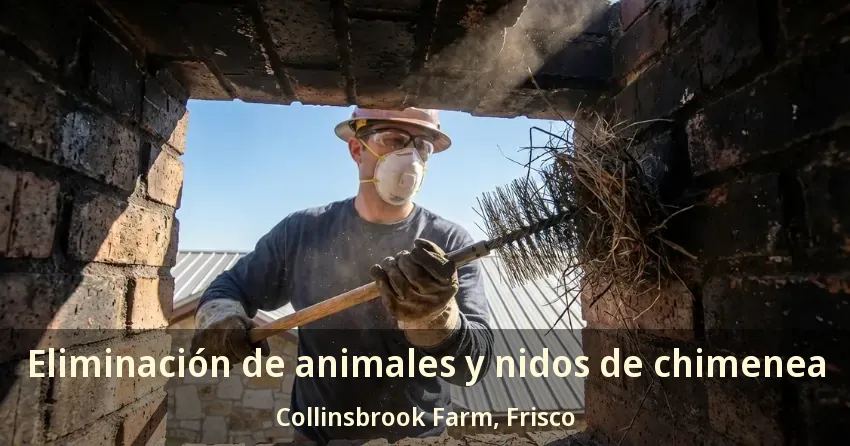 Eliminación de animales y nidos de chimenea Collinsbrook Farm, Frisco - TX Eliminación de animales y nidos de chimenea Collinsbrook Farm, Frisco - TX