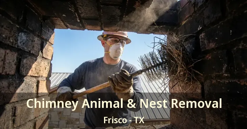 Chimney Animal & Nest Removal Frisco - TX
