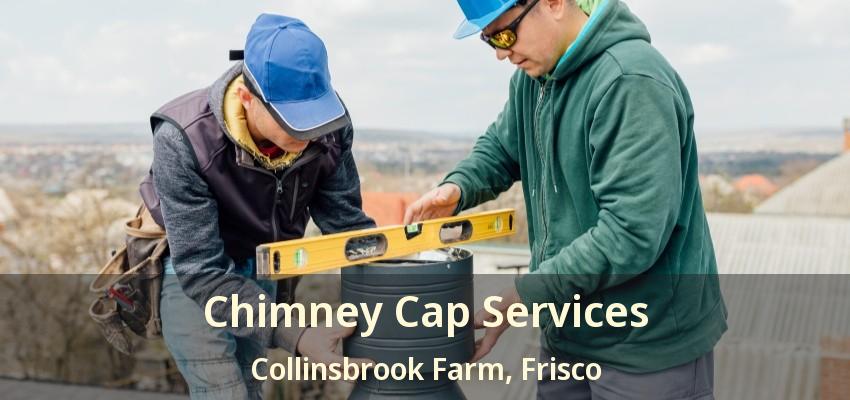 Chimney Cap Services Collinsbrook Farm, Frisco - TX Chimney Cap Services Collinsbrook Farm, Frisco - TX