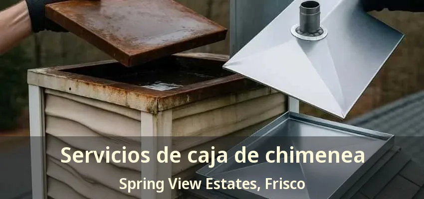 Servicios de caja de chimenea Spring View Estates, Frisco - TX