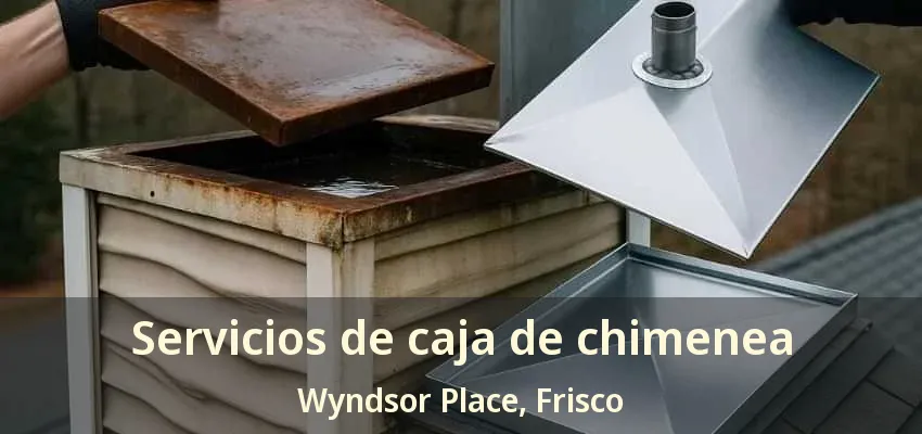 Servicios de caja de chimenea Wyndsor Place, Frisco - TX