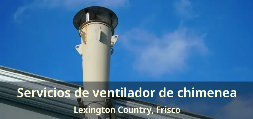 Servicios de ventilador de chimenea Lexington Country, Frisco - TX