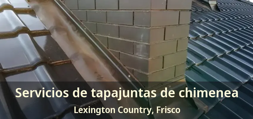 Servicios de tapajuntas de chimenea Lexington Country, Frisco - TX Servicios de tapajuntas de chimenea Lexington Country, Frisco - TX