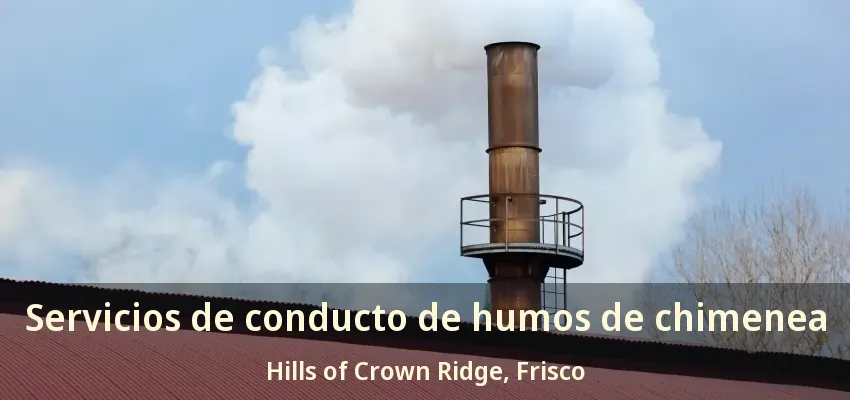 Servicios de conducto de humos de chimenea Hills of Crown Ridge, Frisco - TX Servicios de conducto de humos de chimenea Hills of Crown Ridge, Frisco - TX