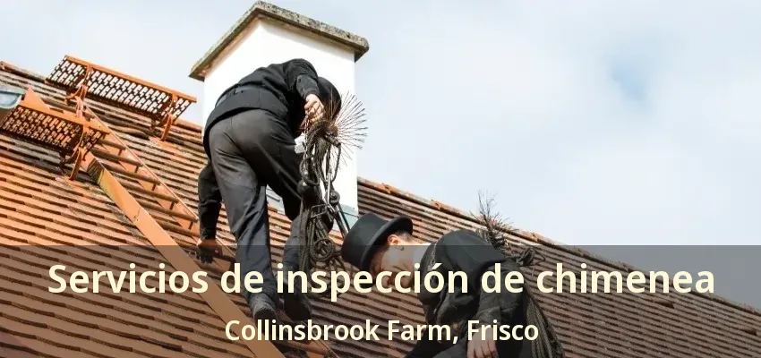 Servicios de inspección de chimenea Collinsbrook Farm, Frisco - TX