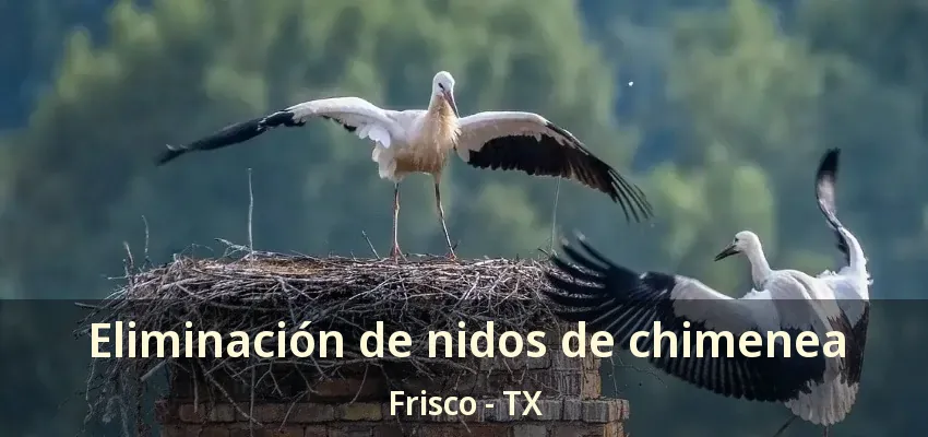 Eliminación de nidos de chimenea Frisco - TX