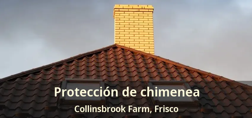 Protección de chimenea Collinsbrook Farm, Frisco - TX Protección de chimenea Collinsbrook Farm, Frisco - TX