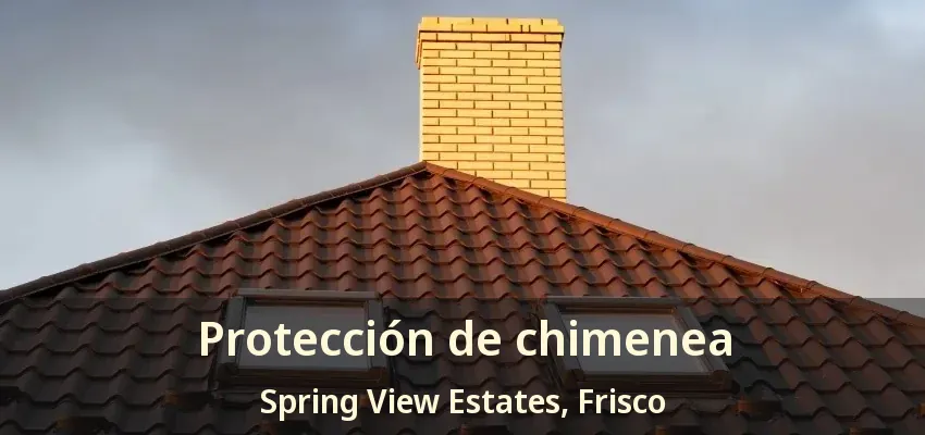 Protección de chimenea Spring View Estates, Frisco - TX