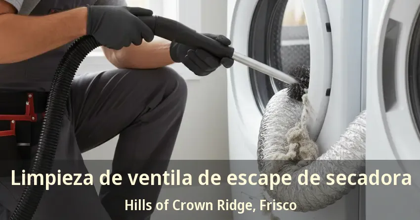 Limpieza de ventila de escape de secadora Hills of Crown Ridge, Frisco - TX