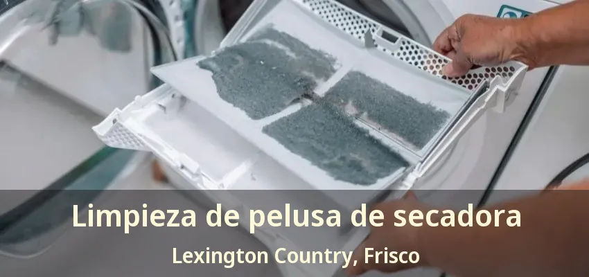 Limpieza de pelusa de secadora Lexington Country, Frisco - TX