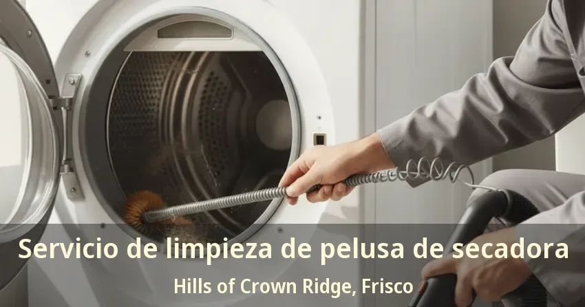 Servicio de limpieza de pelusa de secadora Hills of Crown Ridge, Frisco - TX