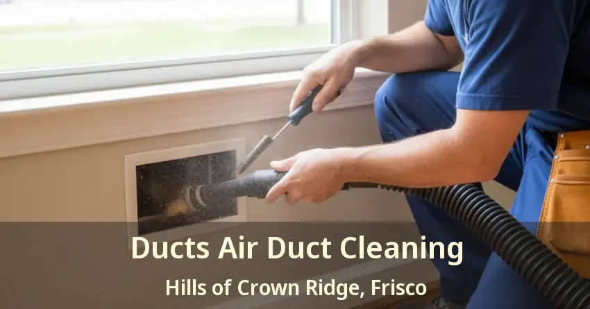 Ducts Air Duct Cleaning Hills of Crown Ridge, Frisco - TX