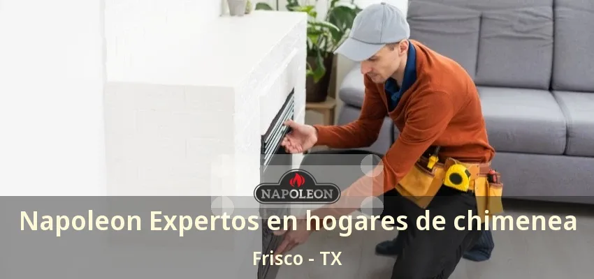 Napoleon Expertos en hogares de chimenea Frisco - TX Napoleon Expertos en hogares de chimenea Frisco - TX