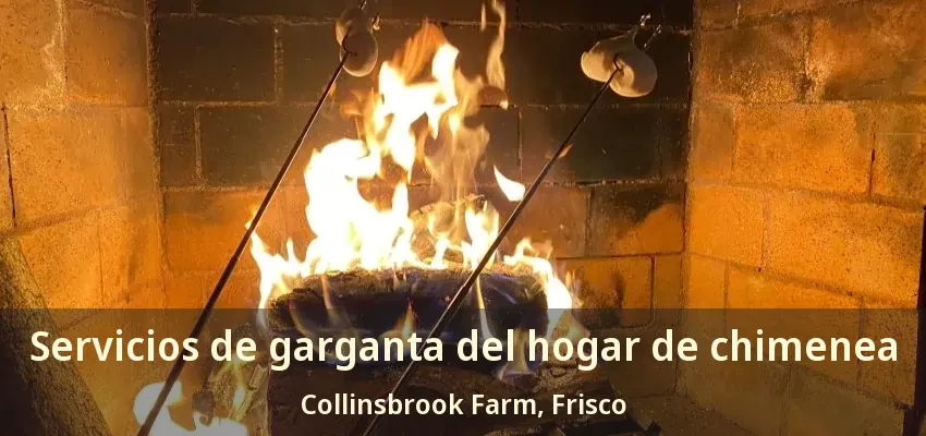 Servicios de garganta del hogar de chimenea Collinsbrook Farm, Frisco - TX Servicios de garganta del hogar de chimenea Collinsbrook Farm, Frisco - TX
