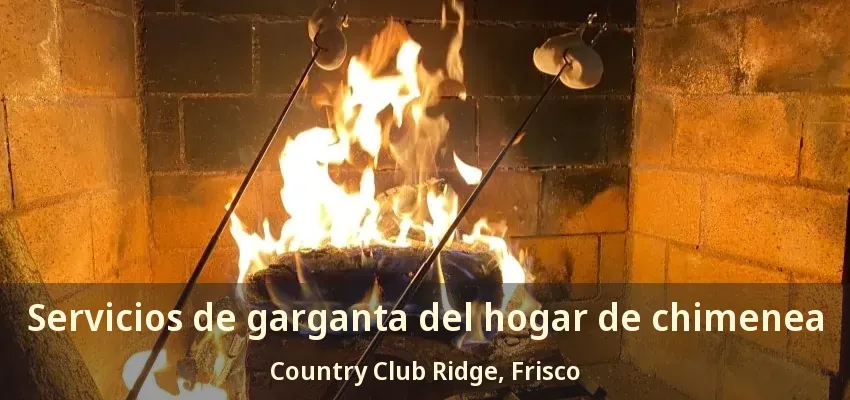Servicios de garganta del hogar de chimenea Country Club Ridge, Frisco - TX Servicios de garganta del hogar de chimenea Country Club Ridge, Frisco - TX