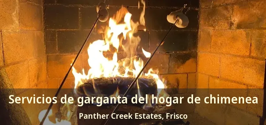 Servicios de garganta del hogar de chimenea Panther Creek Estates, Frisco - TX Servicios de garganta del hogar de chimenea Panther Creek Estates, Frisco - TX