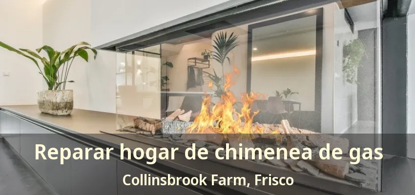 Reparar hogar de chimenea de gas Collinsbrook Farm, Frisco - TX