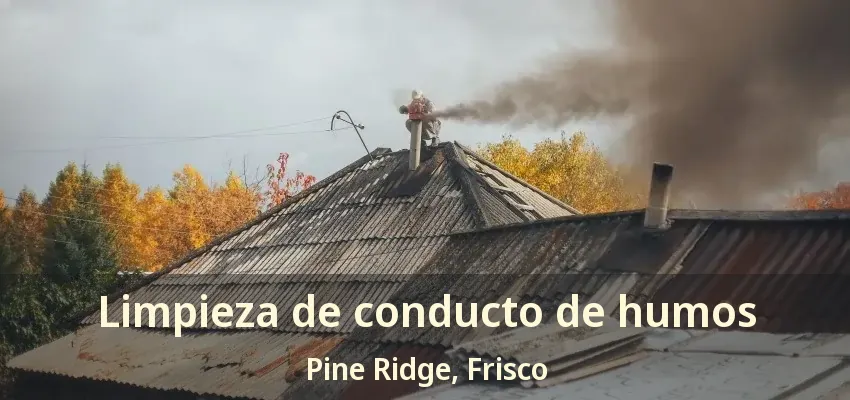 Limpieza de conducto de humos Pine Ridge, Frisco - TX