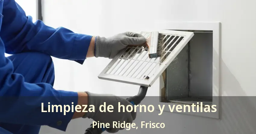 Limpieza de horno y ventilas Pine Ridge, Frisco - TX