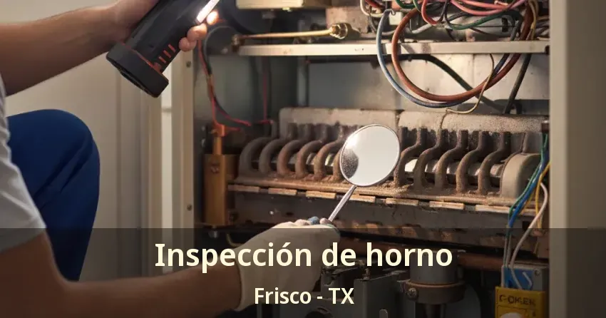 Inspección de horno Frisco - TX