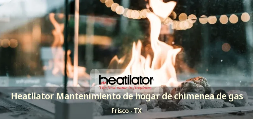 Heatilator Mantenimiento de hogar de chimenea de gas Frisco - TX