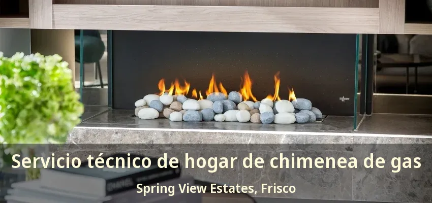 Servicio técnico de hogar de chimenea de gas Spring View Estates, Frisco - TX