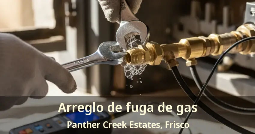 Arreglo de fuga de gas Panther Creek Estates, Frisco - TX