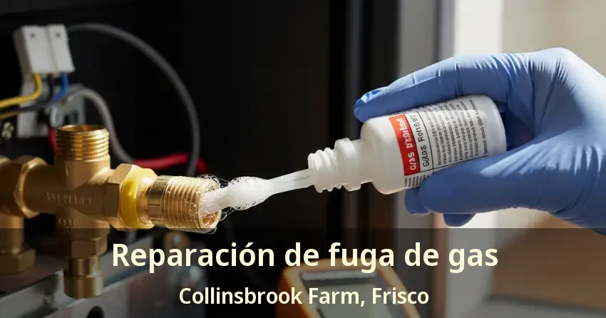Reparación de fuga de gas Collinsbrook Farm, Frisco - TX