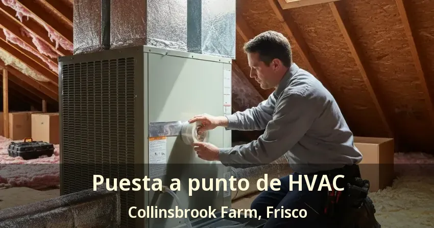 Puesta a punto de HVAC Collinsbrook Farm, Frisco - TX Puesta a punto de HVAC Collinsbrook Farm, Frisco - TX