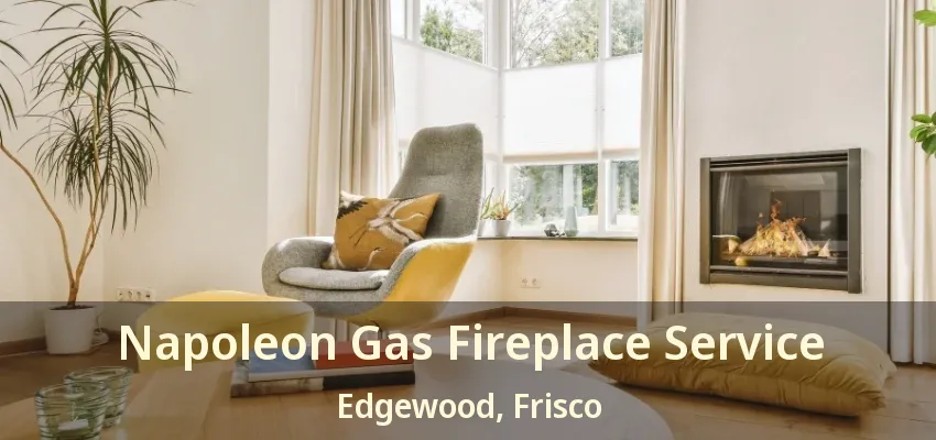 Napoleon Gas Fireplace Service Edgewood, Frisco - TX Napoleon Gas Fireplace Service Edgewood, Frisco - TX