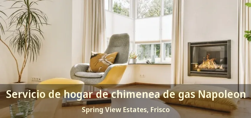 Servicio de hogar de chimenea de gas Napoleon Spring View Estates, Frisco - TX Servicio de hogar de chimenea de gas Napoleon Spring View Estates, Frisco - TX