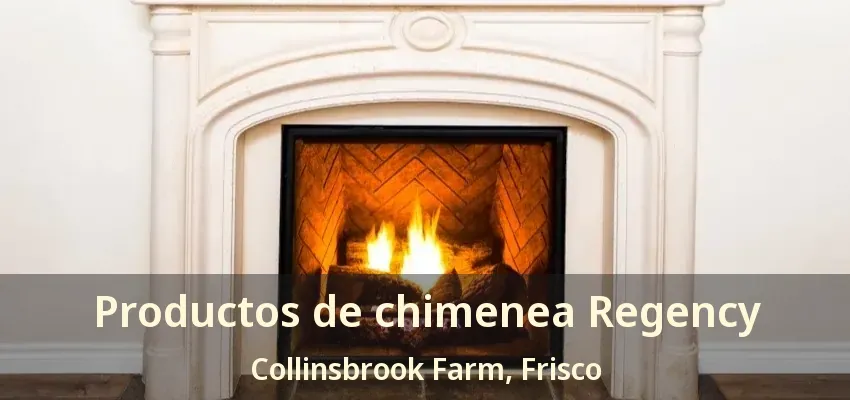 Productos de chimenea Regency Collinsbrook Farm, Frisco - TX Productos de chimenea Regency Collinsbrook Farm, Frisco - TX