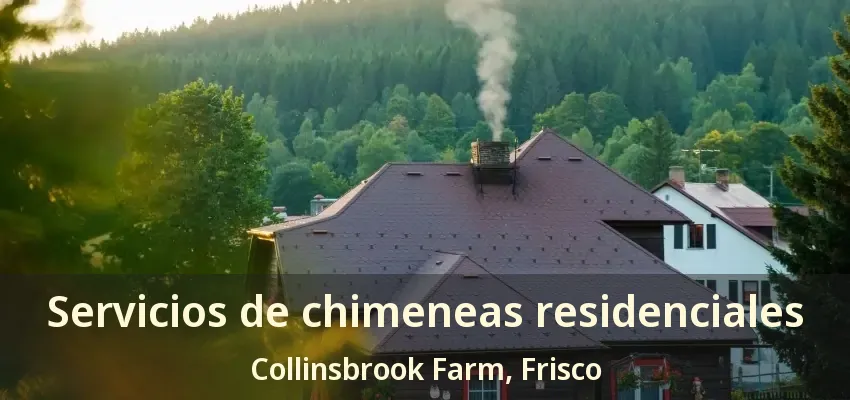 Servicios de chimeneas residenciales Collinsbrook Farm, Frisco - TX