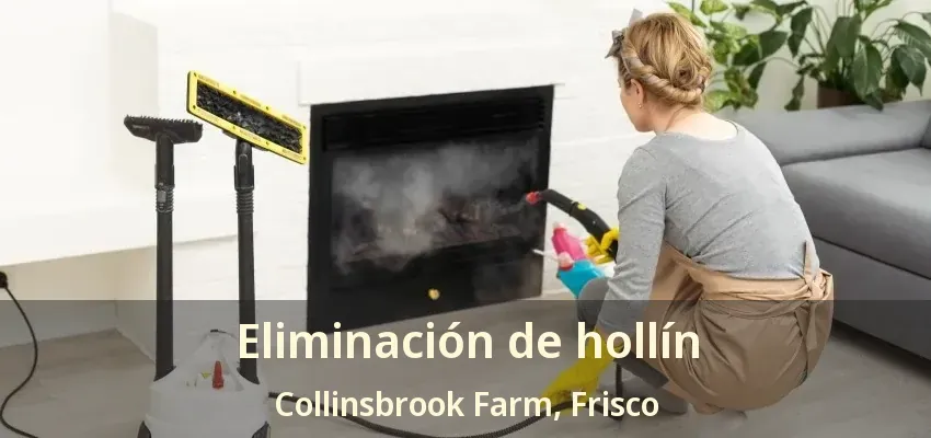 Eliminación de hollín Collinsbrook Farm, Frisco - TX Eliminación de hollín Collinsbrook Farm, Frisco - TX